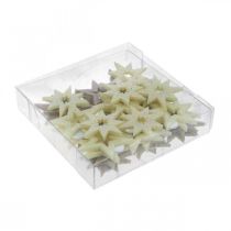 Prodotto Stelle decorative per l'artigianato gommapiuma gialla, marrone 4 cm 36 pz