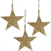 Prodotto Stella in legno di mango naturale, stella di legno dorata di Natale 19,5 cm 3 pz