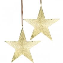 Prodotto Stella d&#39;oro, decorazione dell&#39;avvento, ciondolo decorativo per Natale 12×13 cm 2 pezzi