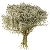 Prodotto Lavanda di mare Statice Tatarica fiori secchi naturali 2 kg