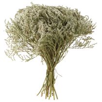 Prodotto Fiori secchi di lavanda di mare Statice 2 kg decorazione naturale