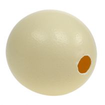 Prodotto Uovo di struzzo, naturale, soffiato, vuoto, decorazione