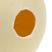 Prodotto Uovo di struzzo, naturale, soffiato, vuoto, decorazione