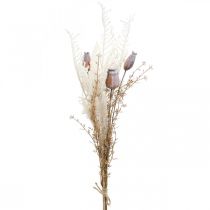 Prodotto Capsule di papavero deco fiori secchi crema di felce artificiale 63cm
