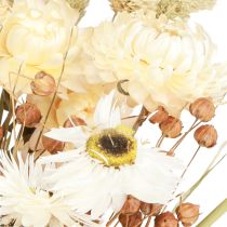 Prodotto Bouquet di fiori secchi fiori di paglia grano bianco 55 cm