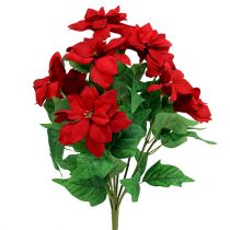 Prodotto Bouquet Poinsettia Rosso L47cm