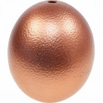 Decorazione uovo di struzzo soffiato decorazione pasquale rame Ø12cm H14cm