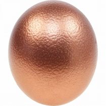 Prodotto Decorazione uovo di struzzo soffiato Decorazione pasquale rame Ø12cm H14cm