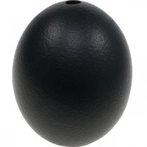 Prodotto Decorazione uovo di struzzo Decorazione pasquale soffiata Nero Ø12cm H14cm