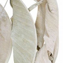Foglie di Strelitzia lavate bianche, essiccate 45-80 cm 10 pezzi