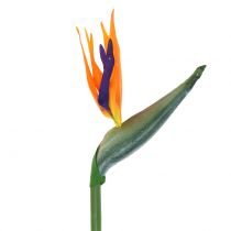 Strelitzia Bird of Paradise fiore artificialmente 98cm