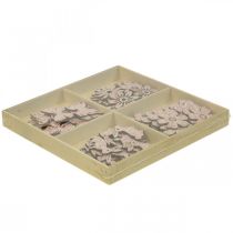 Prodotto Decorazione in legno, pezzi sparsi primavera Pasqua rosa 2–4cm 64p