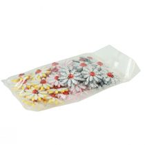 Prodotto Decorazione sparsa coccinella fiore legno feltro colore Ø4cm 48 pz