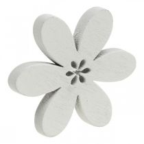 Prodotto Fiori in legno decorazione sparsi boccioli viola/rosa/bianco Ø3.5cm 48p