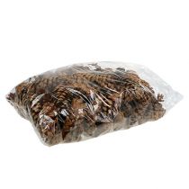 Prodotto Coni Strobus 10-15 cm verniciati 100 pezzi