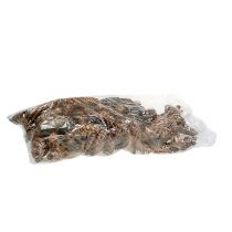 Prodotto Coni Strobus 15 - 20 cm verniciati 100 pezzi