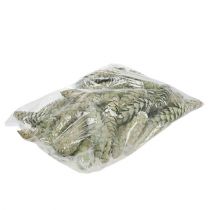 Prodotto Decorazione con coni Strobus verde mela, bianco lavato, 15-20 cm, 50 pezzi