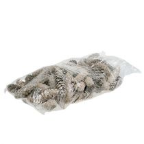 Prodotto Coni Strobus 15 cm - 20 cm bianchi lavati 50 pz