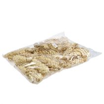 Prodotto Strobus sbiancato 15cm-20cm 50 pz