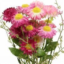 Prodotto Rhodanthe Rosa - Fiori di seta rosa artificiali, mazzo di fiori di paglia, fiori decorativi da 46 cm