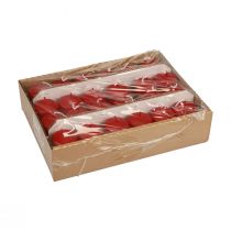 Prodotto Candele a colonna rosse Candele dell'Avvento piccole rosso antico 60/40mm 24 pezzi