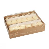 Prodotto Candele a colonna Candele dell'Avvento candele crema 60/40mm 24 pezzi