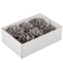Prodotto Decorazione con fiori artificiali succulenti in cera, 10 cm, 6 pezzi