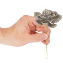 Prodotto Pianta grassa artificiale in cera con filo metallico, 8 cm, 8 pezzi