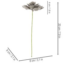 Prodotto Pianta grassa artificiale in cera con filo metallico, 8 cm, 8 pezzi