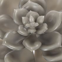 Prodotto Pianta grassa artificiale in cera con filo metallico, 8 cm, 8 pezzi