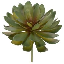 Prodotto Piante grasse artificiali decorative, verdi, 18 cm, 3 pezzi