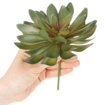 Prodotto Piante grasse artificiali decorative, verdi, 18 cm, 3 pezzi