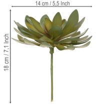 Prodotto Piante grasse artificiali decorative, verdi, 18 cm, 3 pezzi