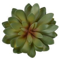 Prodotto Piante grasse artificiali decorative, verdi, 18 cm, 3 pezzi