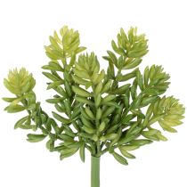 Prodotto Fiore artificiale succulento per un design a bassa manutenzione di spazi abitativi e uffici, 15 cm, 5 pezzi
