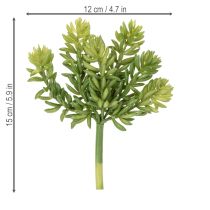 Prodotto Fiore artificiale succulento per un design a bassa manutenzione di spazi abitativi e uffici, 15 cm, 5 pezzi