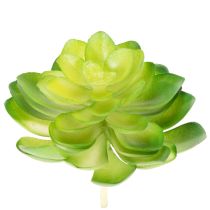 Prodotto Pianta succulenta artificiale, verde, decorativa per ciotola o vaso, 10 cm, 4 pezzi