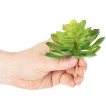Prodotto Pianta succulenta artificiale, verde, decorativa per ciotola o vaso, 10 cm, 4 pezzi