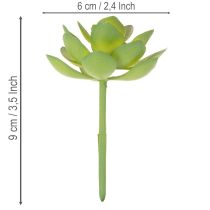 Prodotto Pianta succulenta artificiale verde come decorazione per composizioni creative.