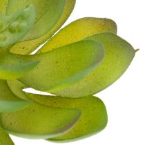 Prodotto Pianta succulenta artificiale verde come decorazione per composizioni creative.