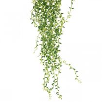 Pianta succulenta appesa artificiale verde 96 cm