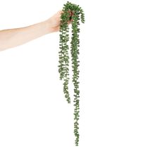 Prodotto Ghirlanda di piante artificiali da appendere, decorazione con piante grasse per il soggiorno