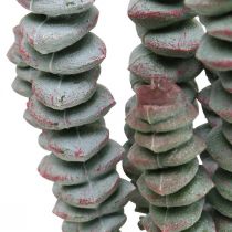 Succulenta artificiale verde, rossa Pianta artificiale da attaccare 19cm