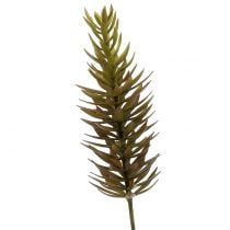 Ramo succulento marrone chiaro verde 48cm