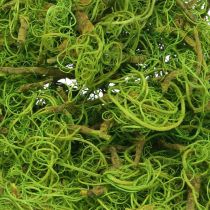 Prodotto Fibra di Tamarindo Fibra Naturale Verde Chiaro per Artigianato e Decorazione 500g