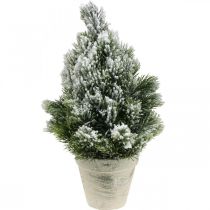 Mini albero di Natale in vaso innevato artificialmente Ø18cm H32cm