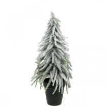 Abete decorativo con neve, decorazione dell&#39;avvento, abete in vaso H37cm