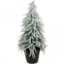 Abete invernale in vaso, addobbo natalizio, abete con neve H45cm