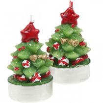 Luci da tè Albero di abete natalizio con luce da tè H6,5 cm 6 pezzi