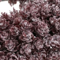 Corona di pigna Ø25cm Ghiacciata bordeaux